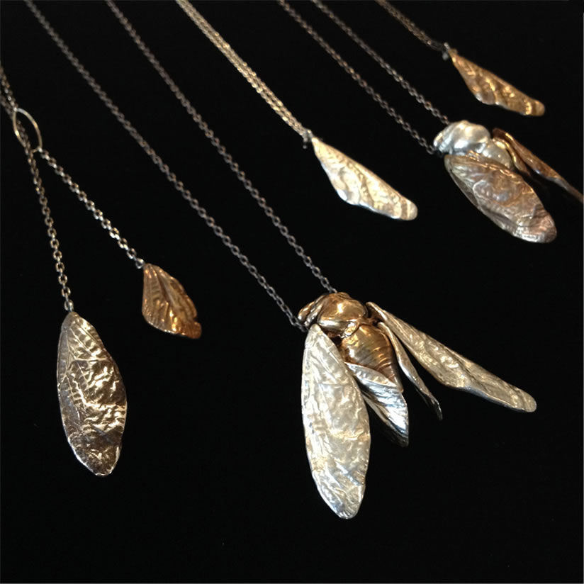 Cicada collection